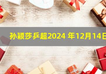 孙颖莎乒超2024 年12月14日